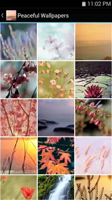 Peaceful Wallpapers android App screenshot 1